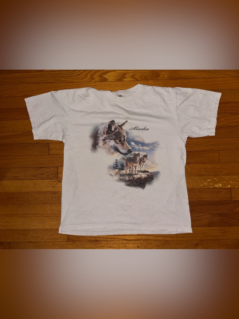 Anvil No Tag Alaska Wolf Graphic Print T-Shirt Mens White Crew Neck Short Sleeve